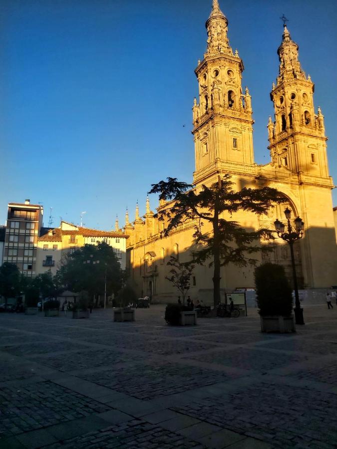 "El Rincon Del Pintor"Enorme Piso A Junto A Laurel Ascensor By Apartamentos Logroño Exteriér fotografie