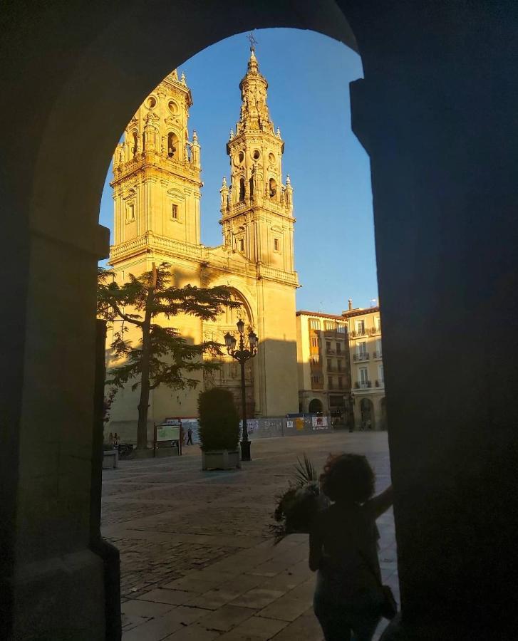 "El Rincon Del Pintor"Enorme Piso A Junto A Laurel Ascensor By Apartamentos Logroño Exteriér fotografie